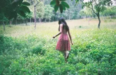 明言明句经典摘抄短,智慧语录的精华汇编