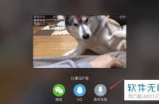 gif动图哔哩哔哩,哔哩哔哩热门GIF背后的故事