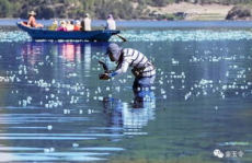 艺高人胆大胆大人艺高,艺高人胆大与胆大人艺高的智慧