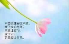 走心的精辟句子,走心句子的心灵启示录