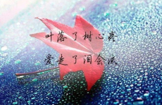 一句走心签名10字,10字走心签名诠释人生哲理”