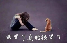 扎心伤感图片,扎心伤感图片背后的情感共鸣”